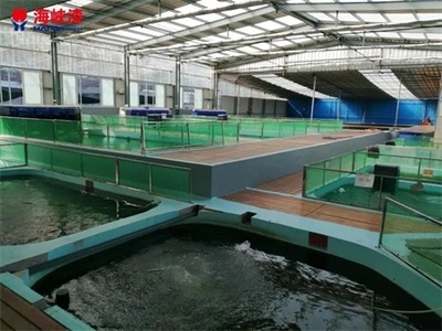 养殖漆保护水泥池壁不受水体的侵蚀