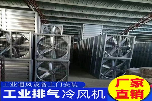 耒阳市耐高温负压风机东莞工厂通风降温 金柚环保设备