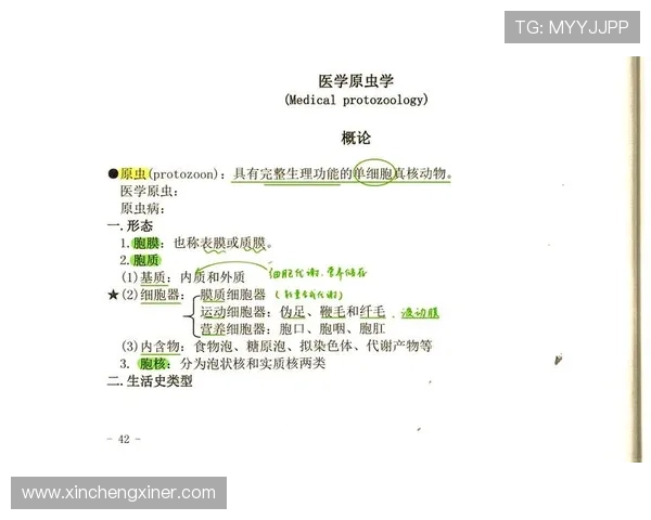 2个让你全程屏住呼吸，《寄生虫》的结尾到底是什么意思？