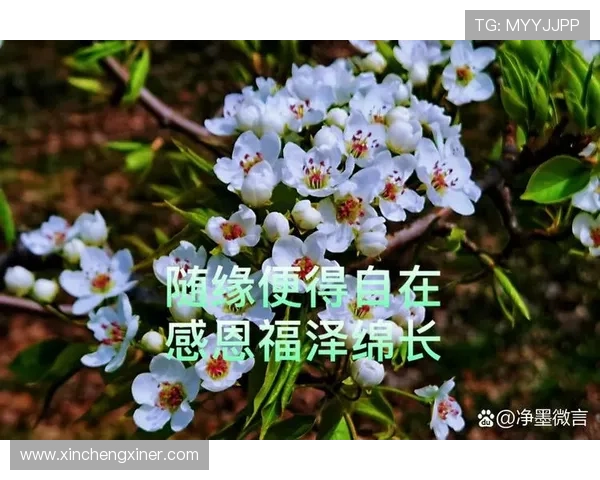 此刻，心之所向，便是吾乡