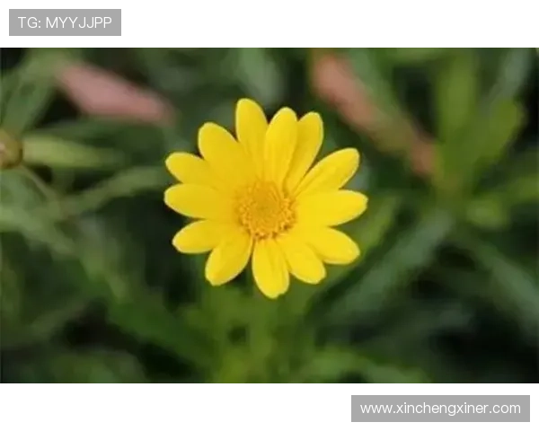 《有情有义》：不仅仅是一份演员表，更是一曲时代的回响